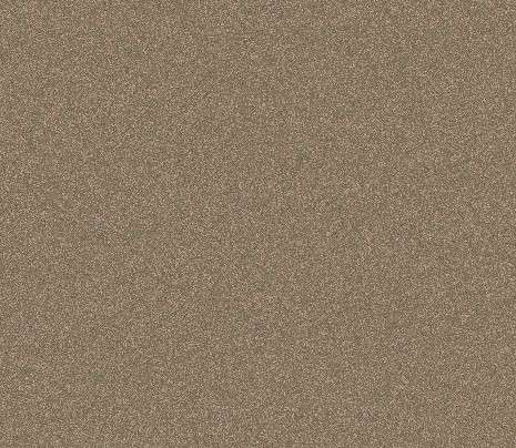 Champagne Kinetic Matt